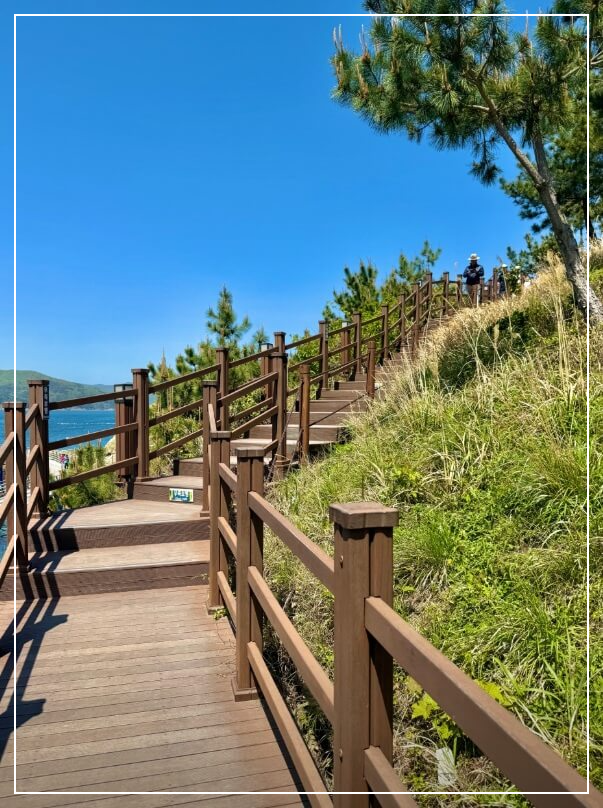 거제도 가볼만한곳 베스트10 바람의언덕