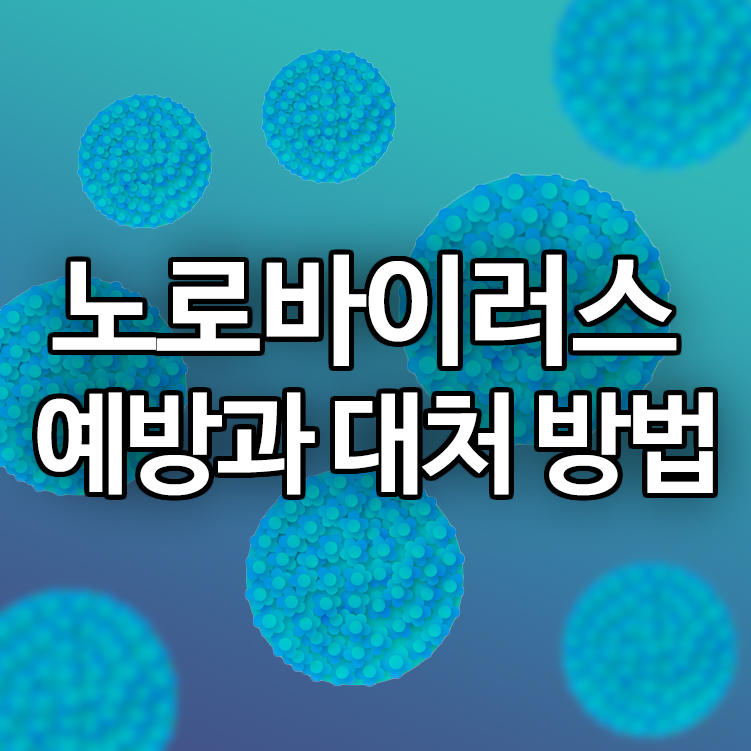 노로바이러스 예방과 대처 방법