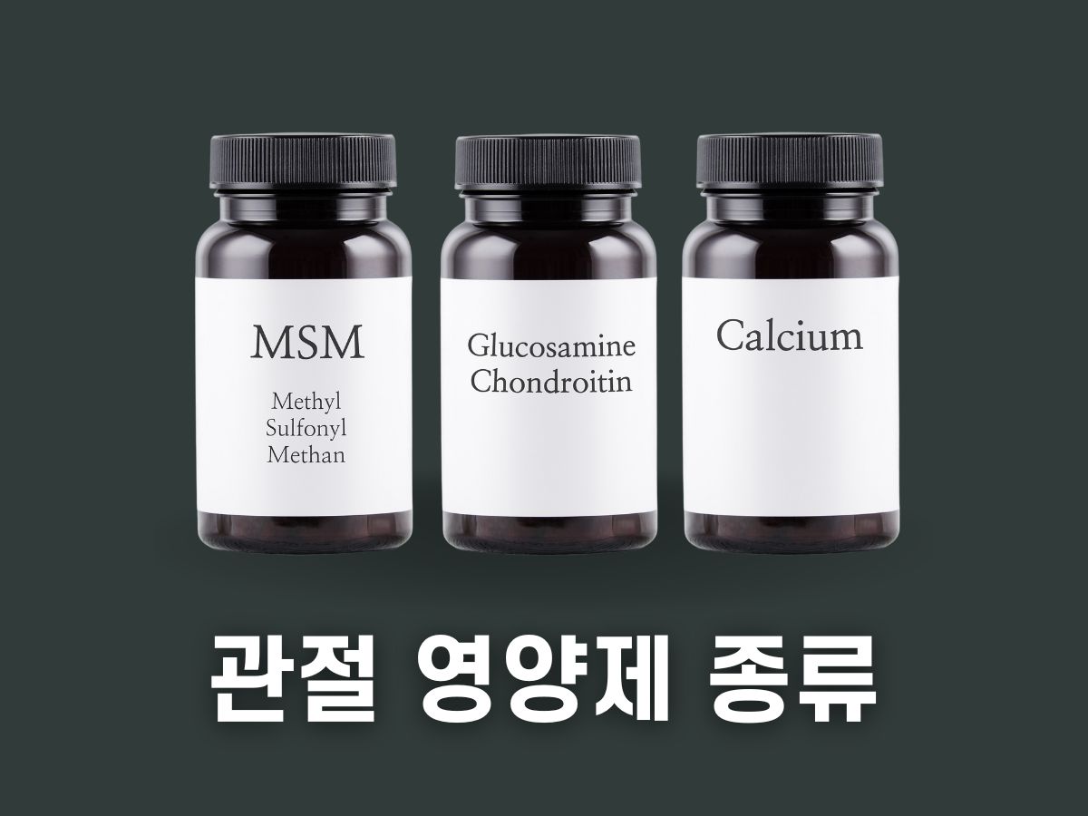 관절 영양제 종류