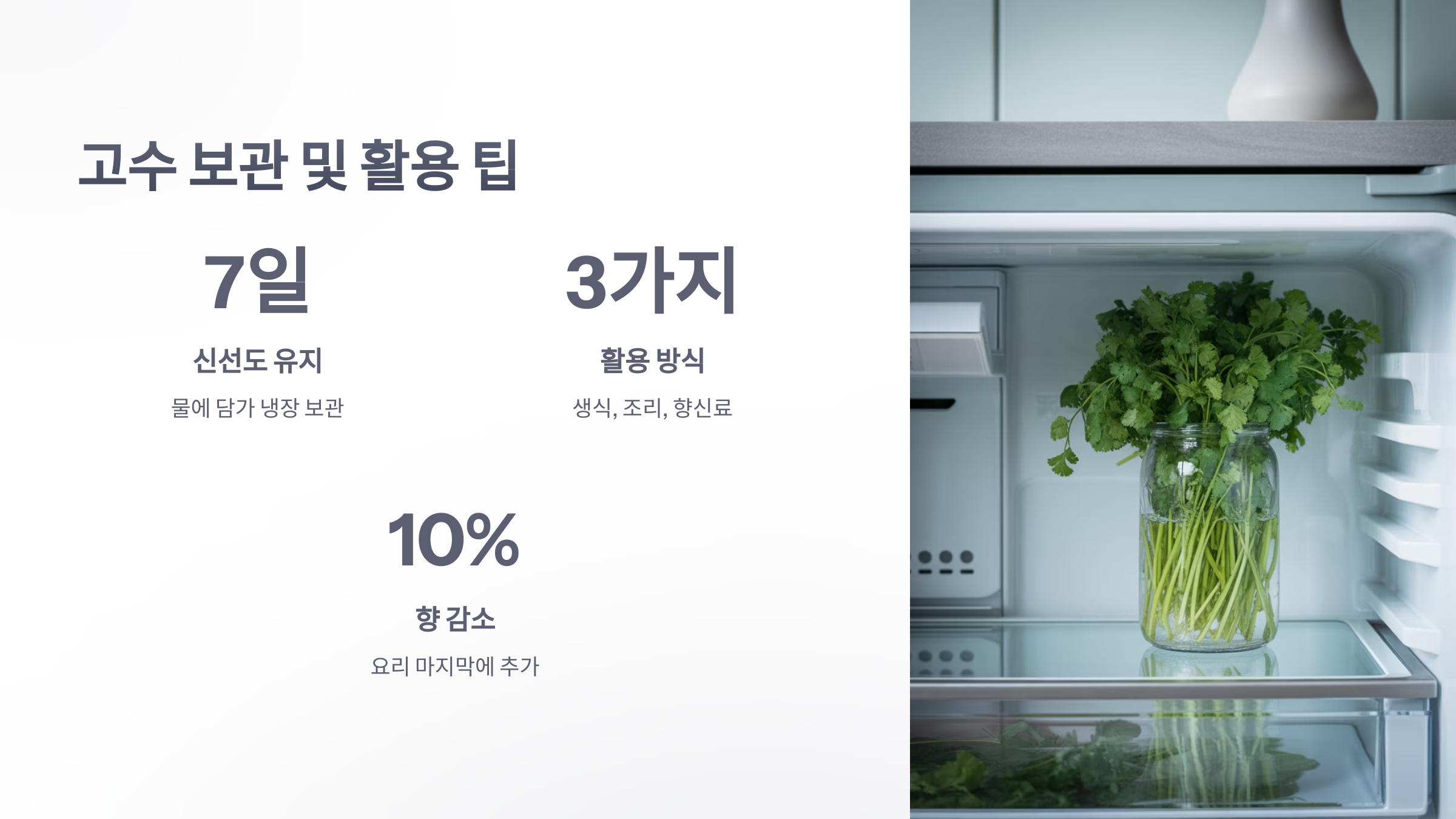 참조-건강음식-'고수'-6