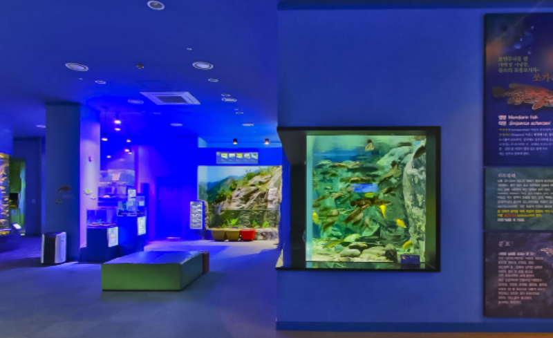 단양 아쿠아리움