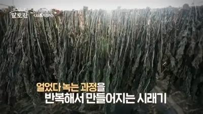 시래기-만드는 과정-시레기정식-맛집-알토란