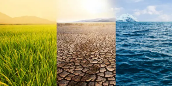 기후위기와 보험: 날씨가 보험료를 좌우하는 시대