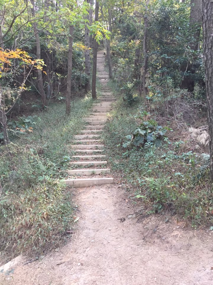 해운대 산책코스 송정옛길