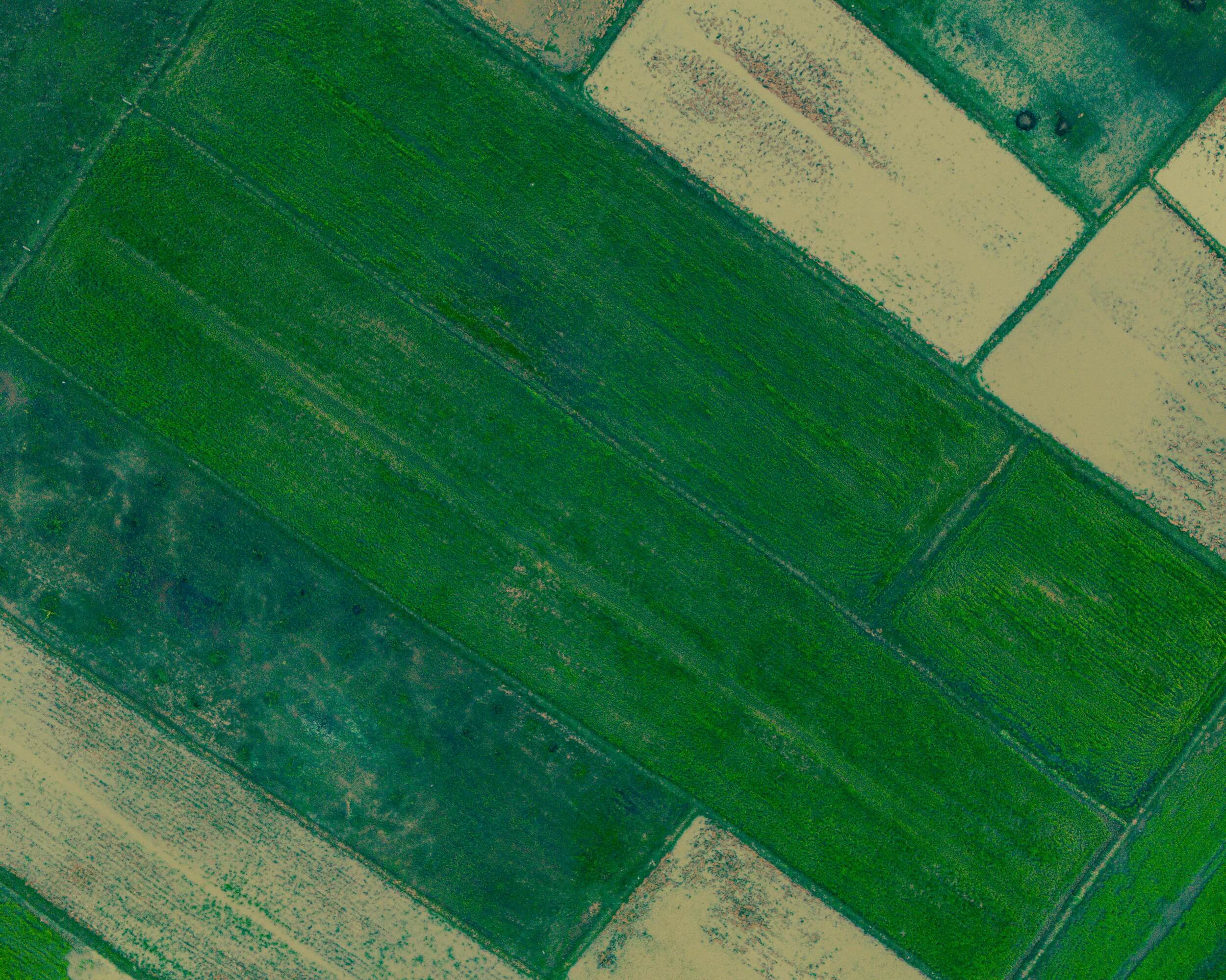 조상 땅 찾기 총정리