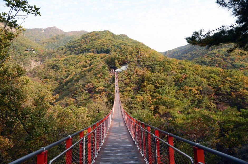 파주 가볼만한곳 베스트 10