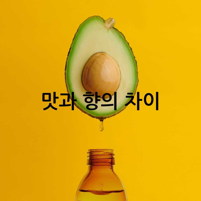 아보카도오일과 올리브오일 차이점