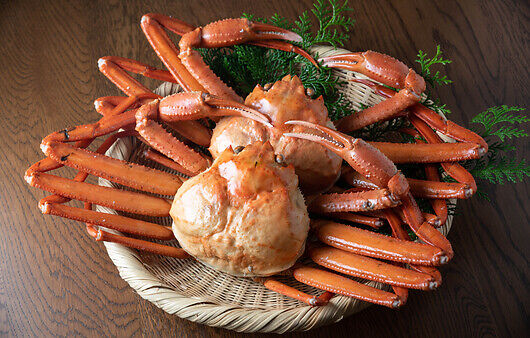 설 선물세트 베스트 추천 TOP10