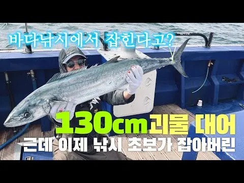바다낚시 초보 방파제 포인트 물때표 읽는 법을 한 번에_6
