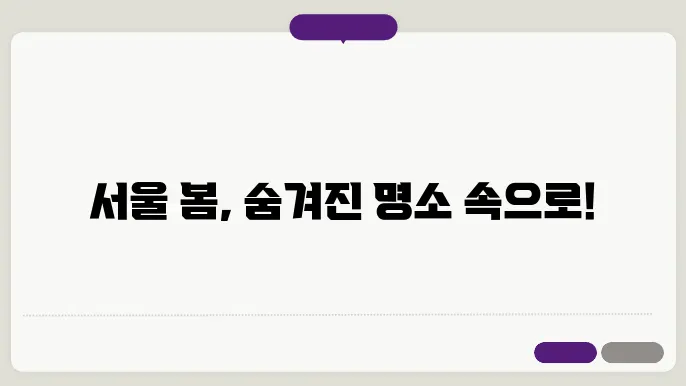 봄 서울 닰일여행 갈만한곳