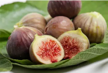 무화과 효능과 영양성분