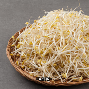 콩나물 무침 맛있게 만드는법