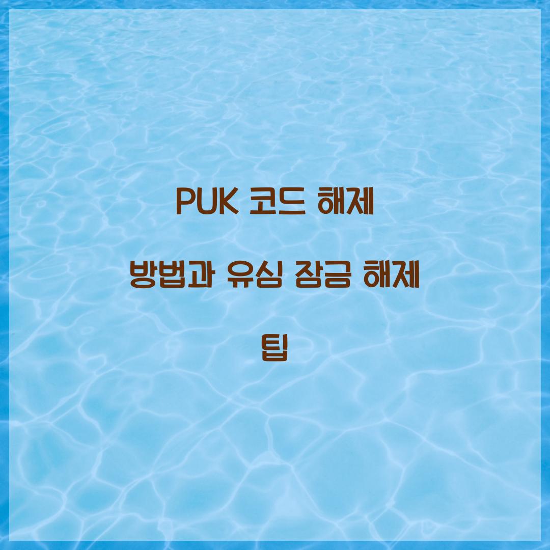 PUK 코드 해제 방법