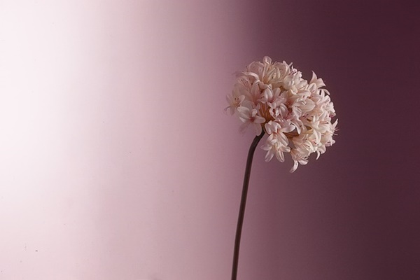 신생아 모유수유 방법과 꿀팁