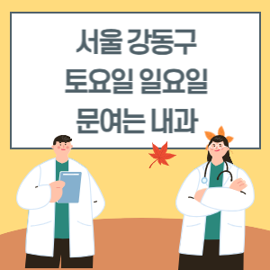 서울 강동구 토요일 일요일 내과 진료 병원 리스트