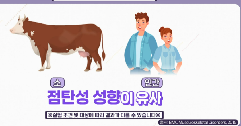 콘드로이친 추천 및 복용법