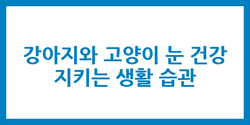 강아지와 고양이 눈 건강 지키는 생활 습관