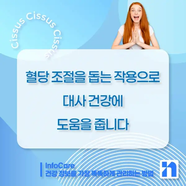 시서스 효능