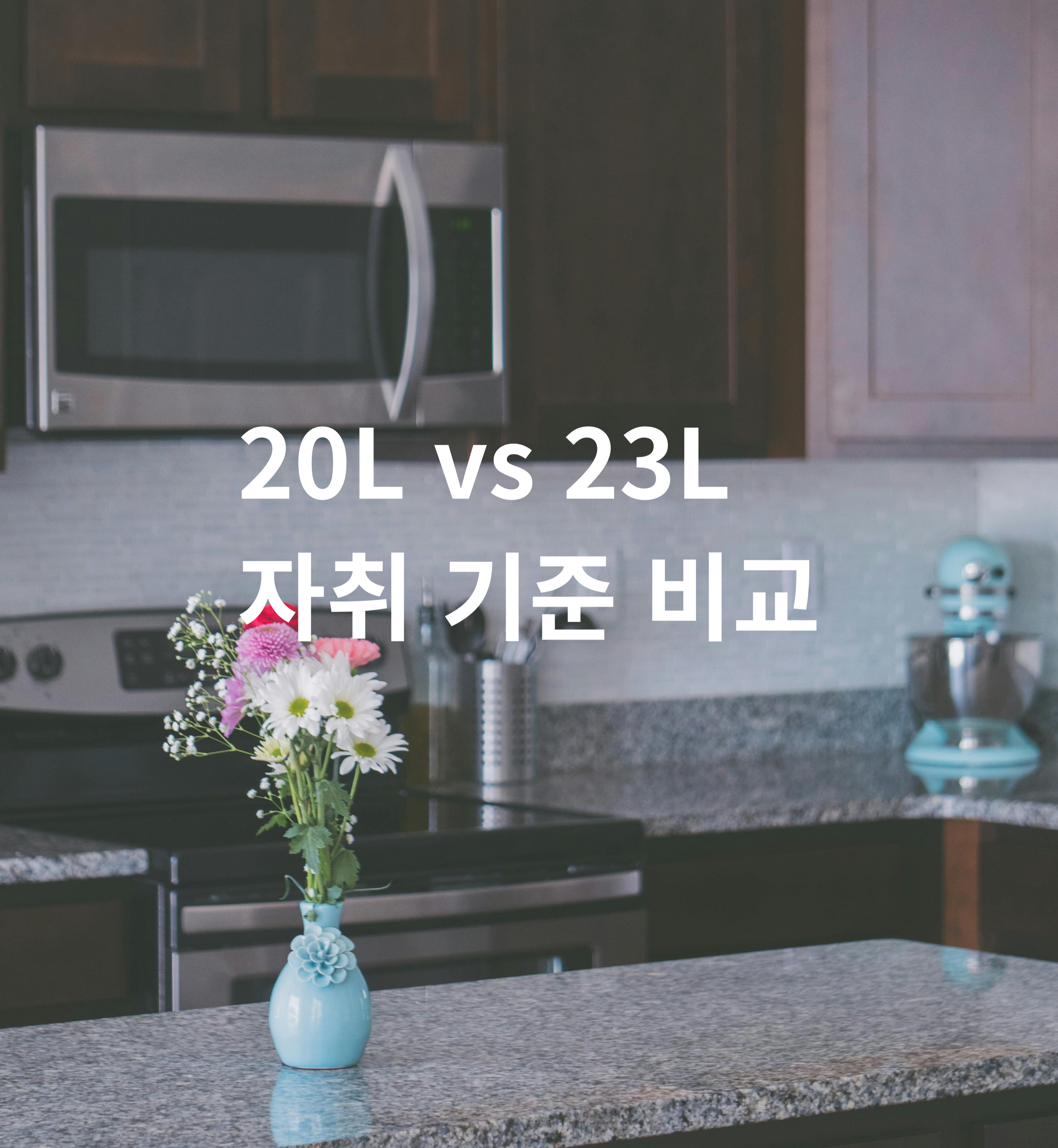 전자레인지 20L 23L 용량 차이 자취 기준 비교