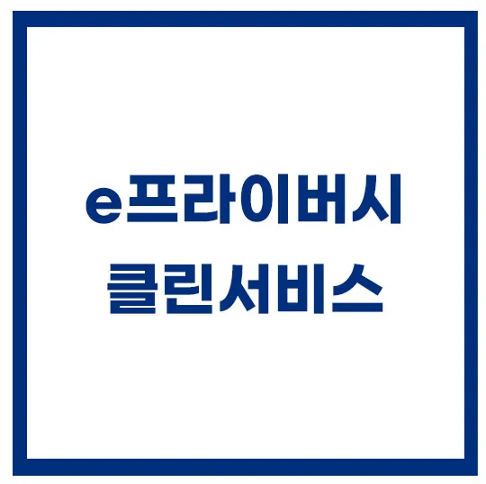 e프라이버시-클린서비스