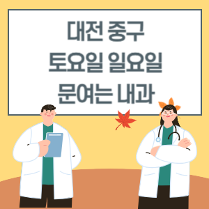 대전 중구 토요일 일요일 내과 진료 병원 리스트
