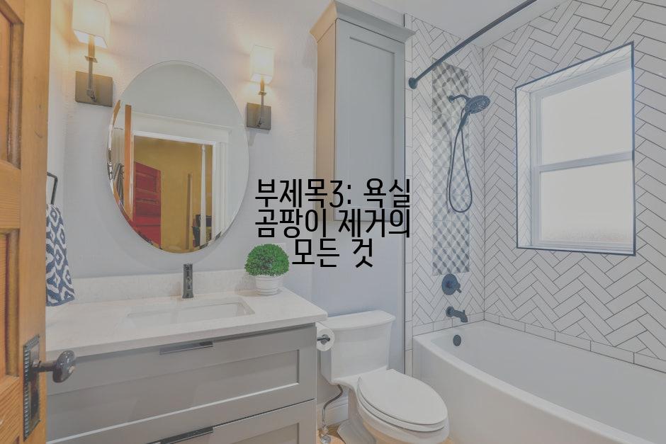 부제목3: 욕실 곰팡이 제거의 모든 것
