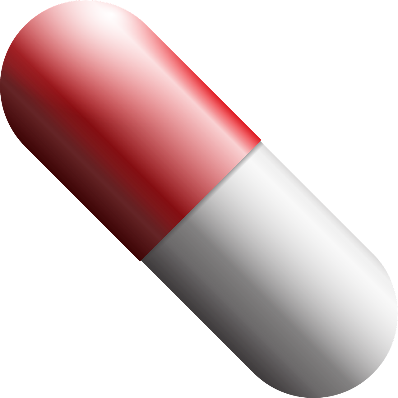 다이소 영양제 판매