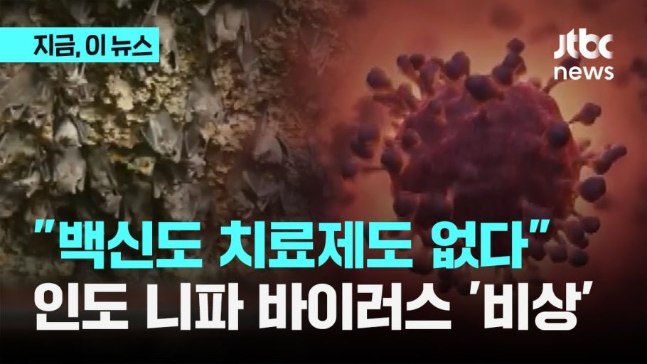 니파바이러스 증상