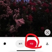 핀터 레스트 무료 이미지