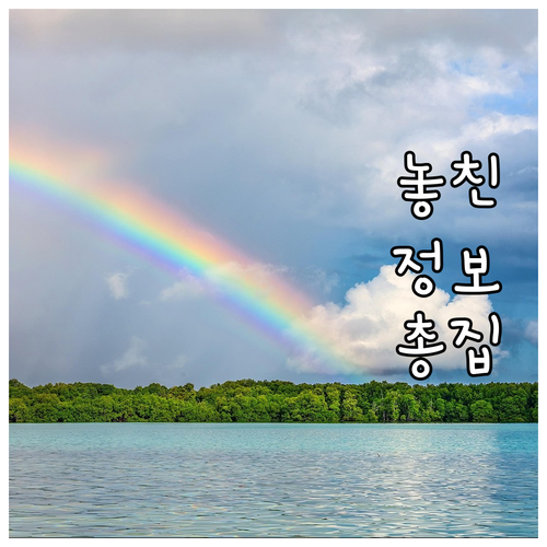 상생페이백 100% 활용법: 오프라인..