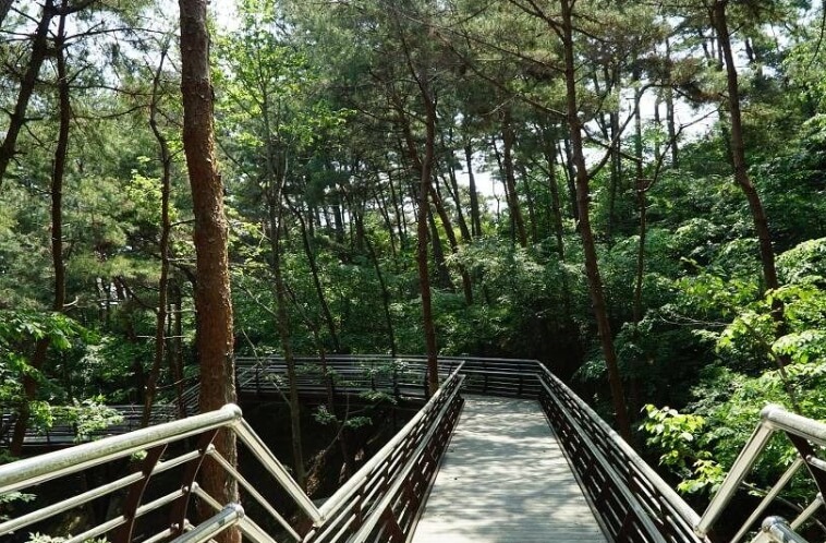 태안 가볼만한곳 베스트 10