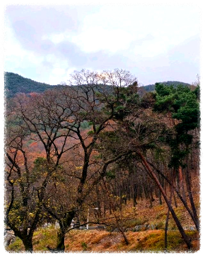 월아산