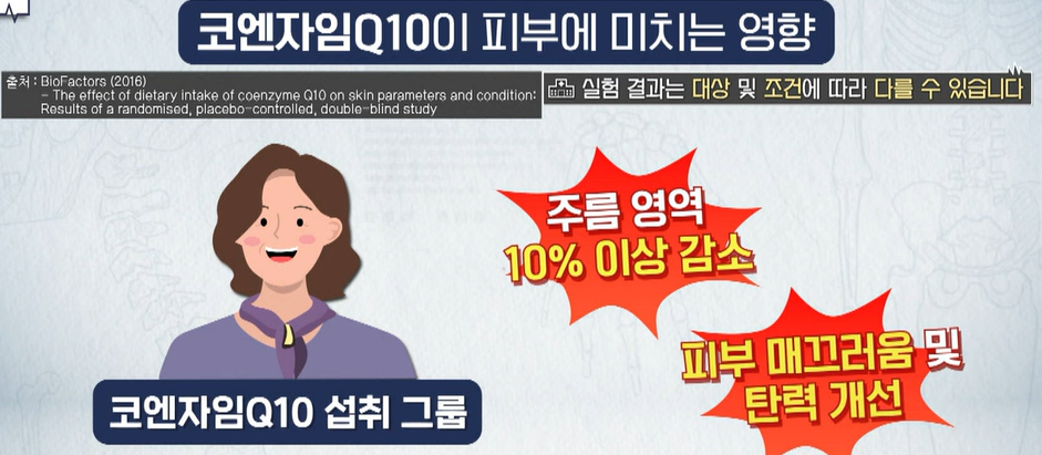 코엔자임큐텐의 효능