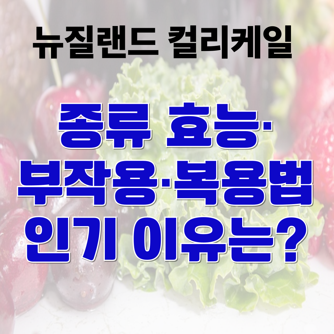 뉴질랜드 컬리 케일 종류부터 효능·부작용·복용법