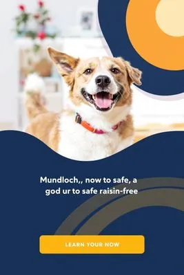 건포도의 위험성