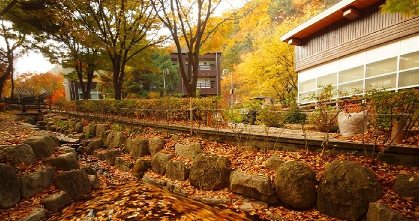 화원자연휴양림