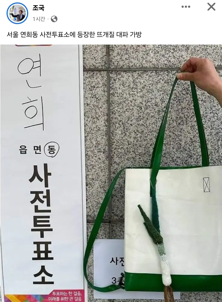 디올 대파 에디션과 &#39;시대정신(Zeitgeist)&#39;
