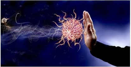 면역의 가장 중요한 요소가 장건강이라는 것을 나타내는 그래픽