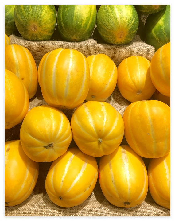 참외 껍질 참외씨 효능 5가지 참외 고르는 방법 1개 칼로리 참외장아찌 담그는 법