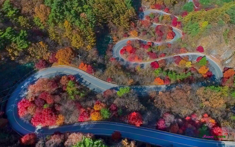 2024년 가을 단풍시기 (출처 : 한국관광공사)