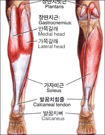 종아리 쥐나는 이유와 해결방법 7