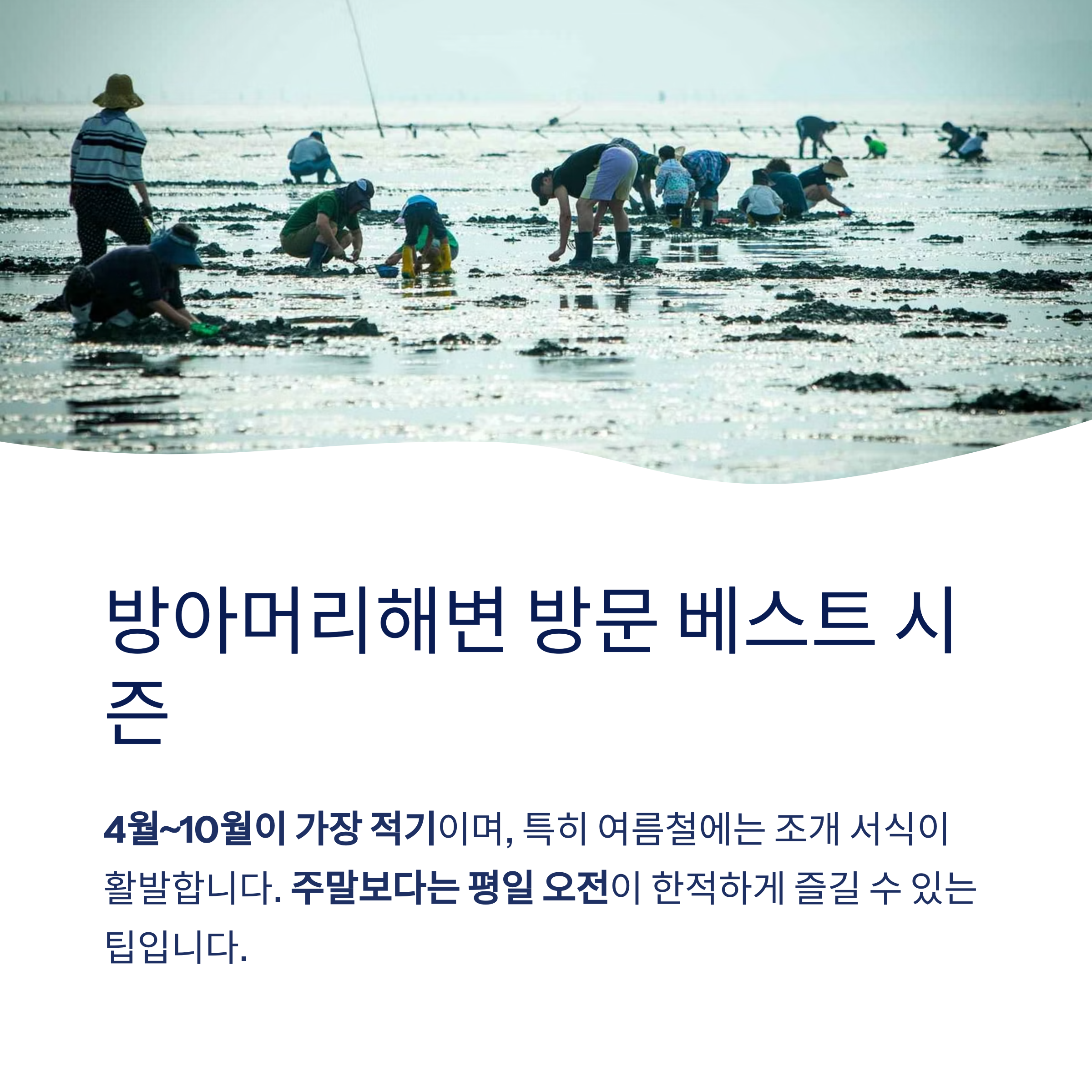 방아머리해변 방문 베스트 시즌