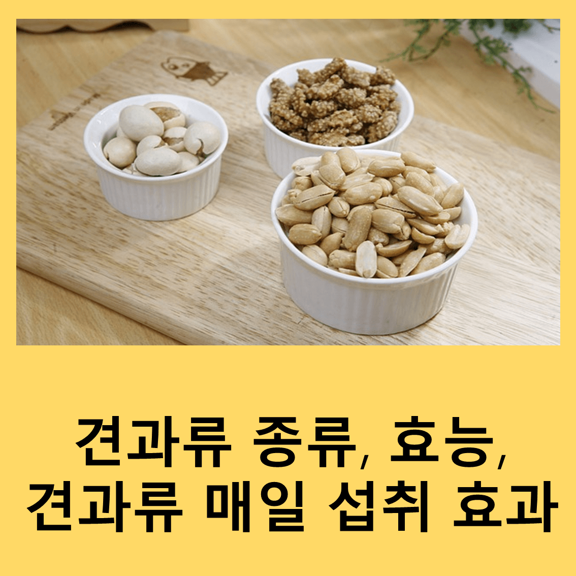 견과류
