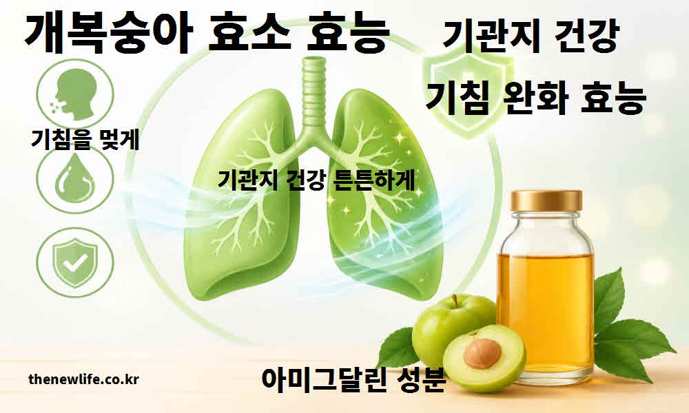 개복숭아 효소 효능 기관지 건강 기침 완화