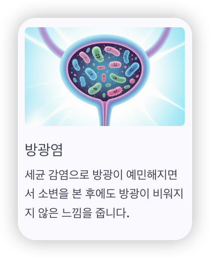 소변-후-잔뇨감-이유-방광염