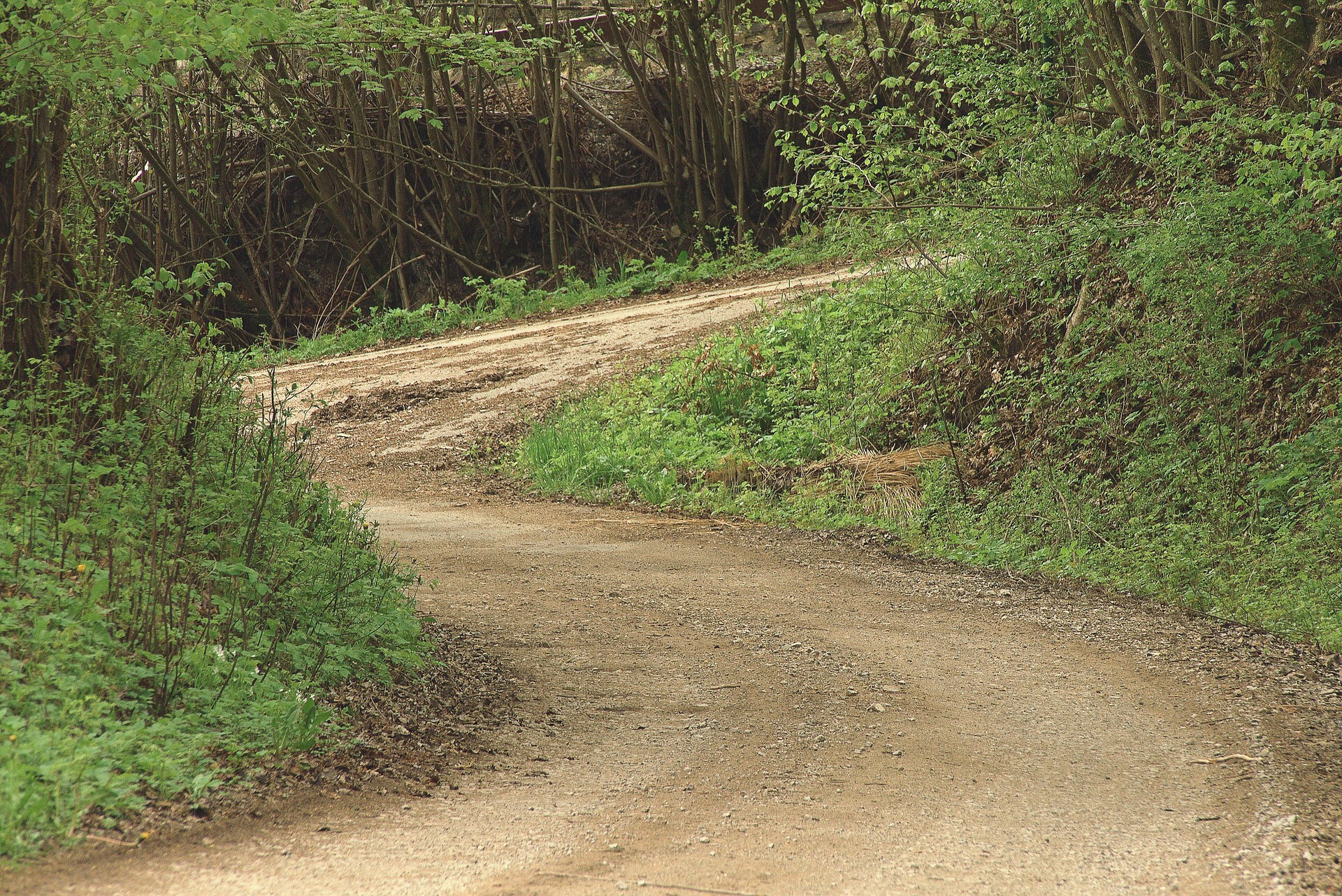 흙길 관련 사진