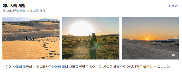 미니 사막 체험