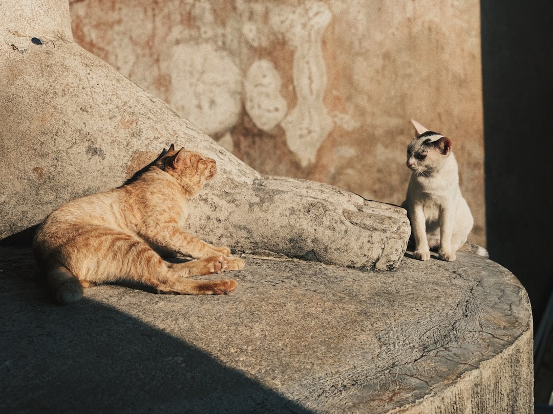 Negotiation.
