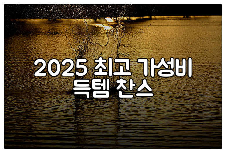 2025 최고 가성비 득템 찬스