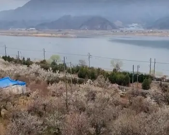 원동 미나리축제_13